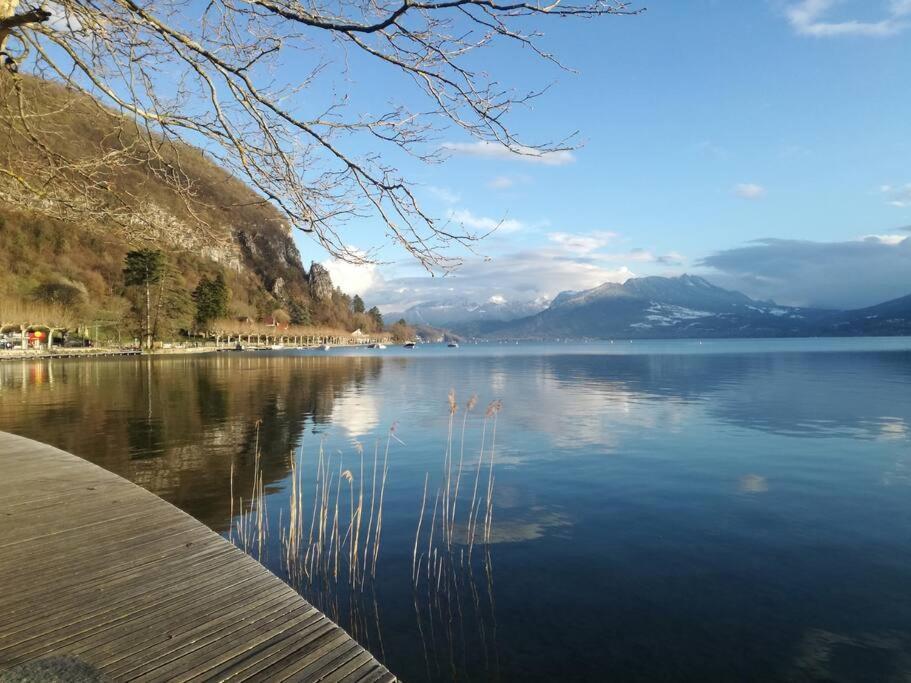 Cabana & Le Central - Proche Lac , Terrasse Et Parking Annecy Esterno foto