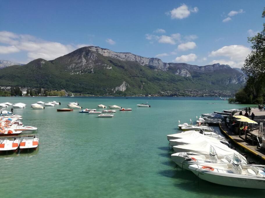 Cabana & Le Central - Proche Lac , Terrasse Et Parking Annecy Esterno foto